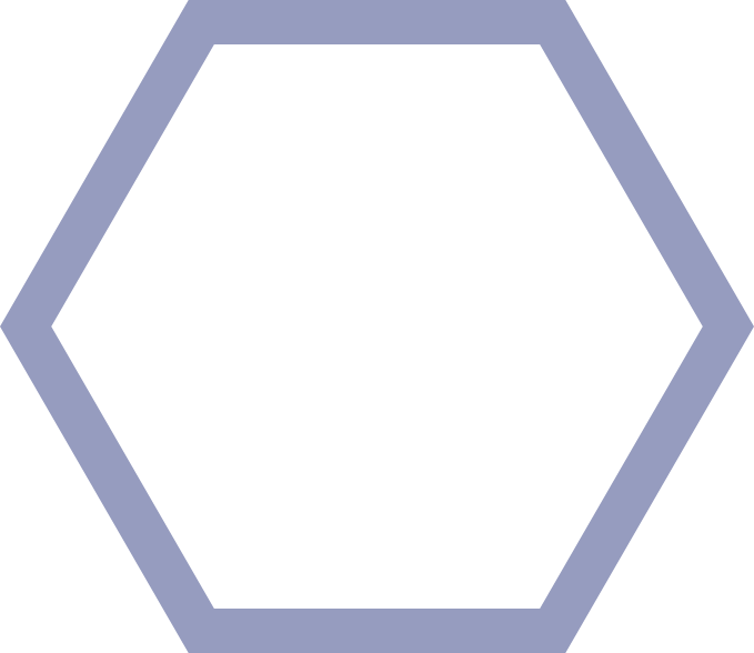 polygon img