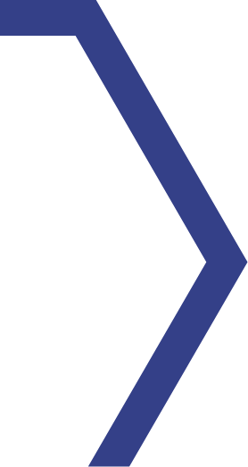polygon img 8